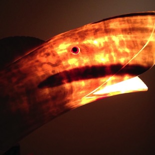 Fish lamp